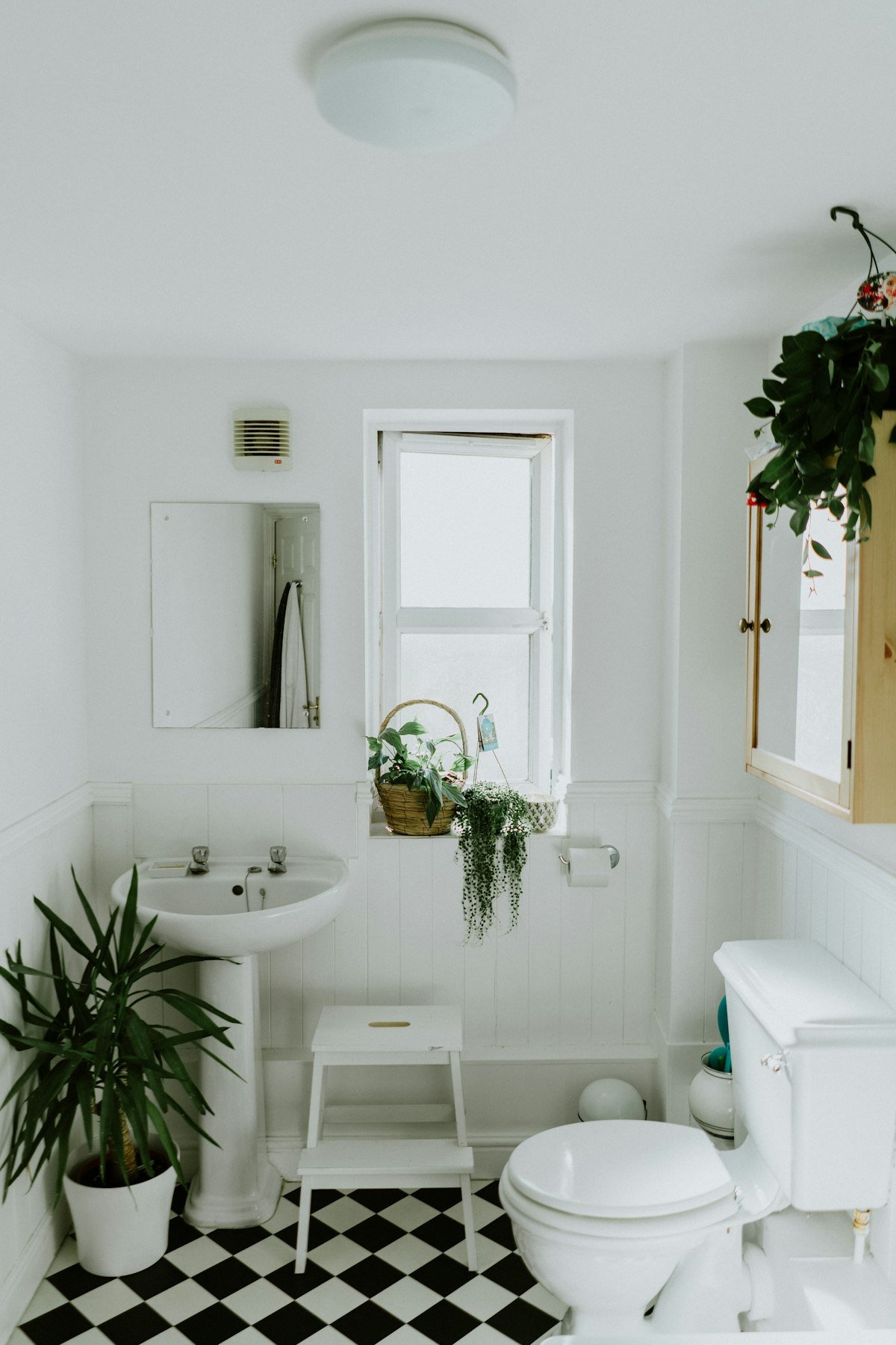 Riverbank Palm Sanctuary - Ensuite Bathroom